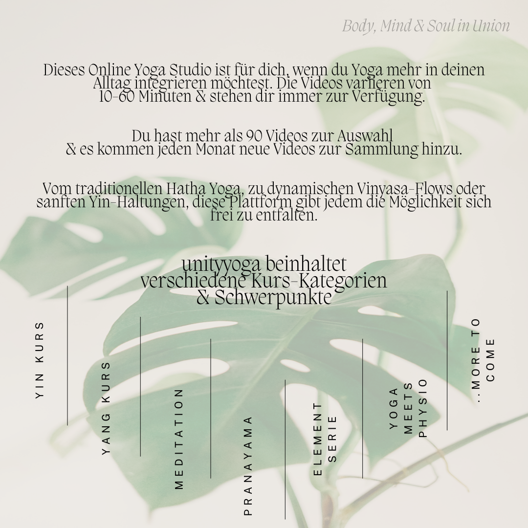 Beschreibung Online Studio